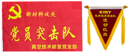 党员突击队-代替