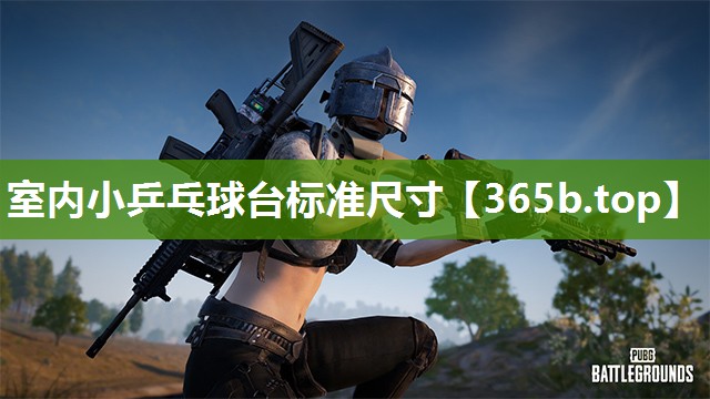 室内小乒乓球台标准尺寸 室内小乒乓球台标准尺寸