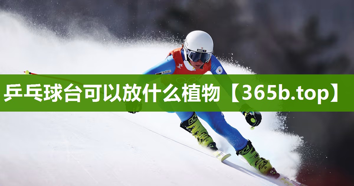 乒乓球台可以放什么植物 乒乓球台可以放什么植物