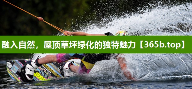 融入自然，屋顶草坪绿化的独特魅力