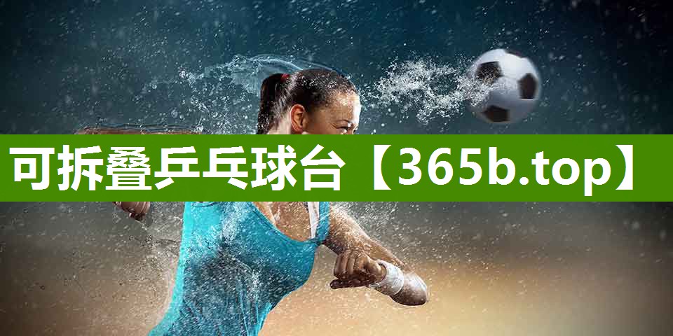 可拆叠乒乓球台