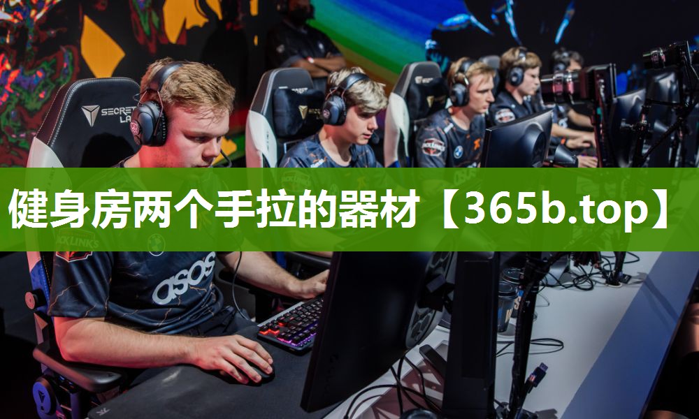 健身房两个手拉的器材 健身房两个手拉的器材