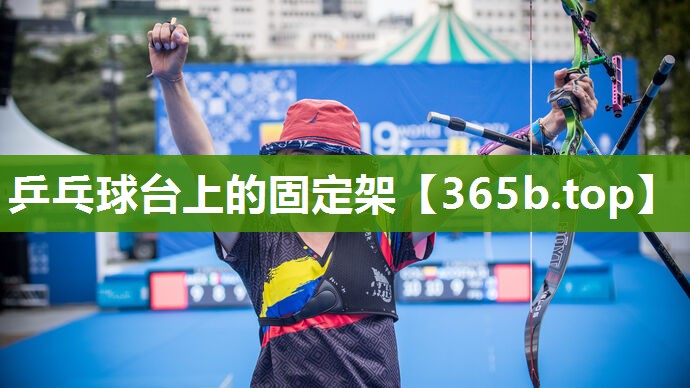 乒乓球台上的固定架 乒乓球台上的固定架