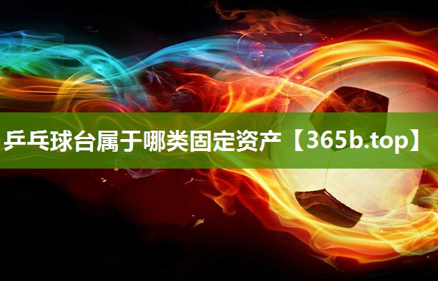 乒乓球台属于哪类固定资产