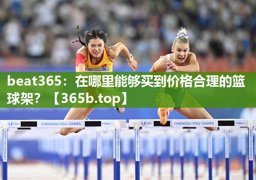 在哪里能够买到价格合理的篮球架? 在哪里能够买到价格合理的篮球架?