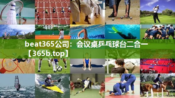 会议桌乒乓球台二合一