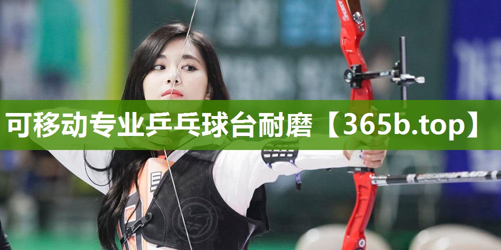 可移动专业乒乓球台耐磨 可移动专业乒乓球台耐磨