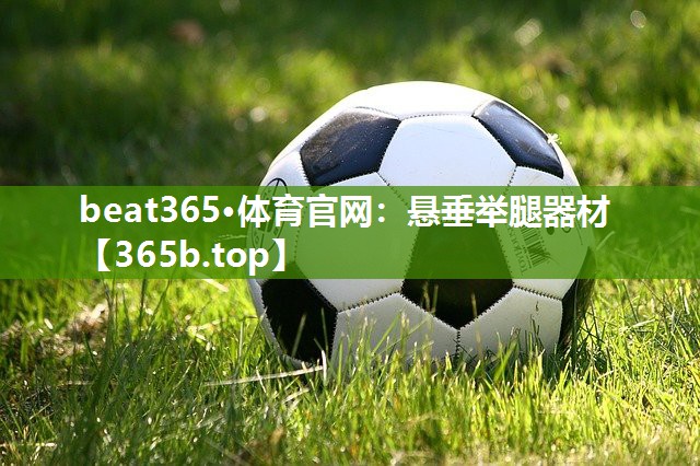 悬垂举腿器材 悬垂举腿器材