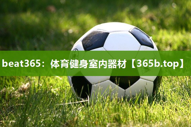 体育健身室内器材 体育健身室内器材